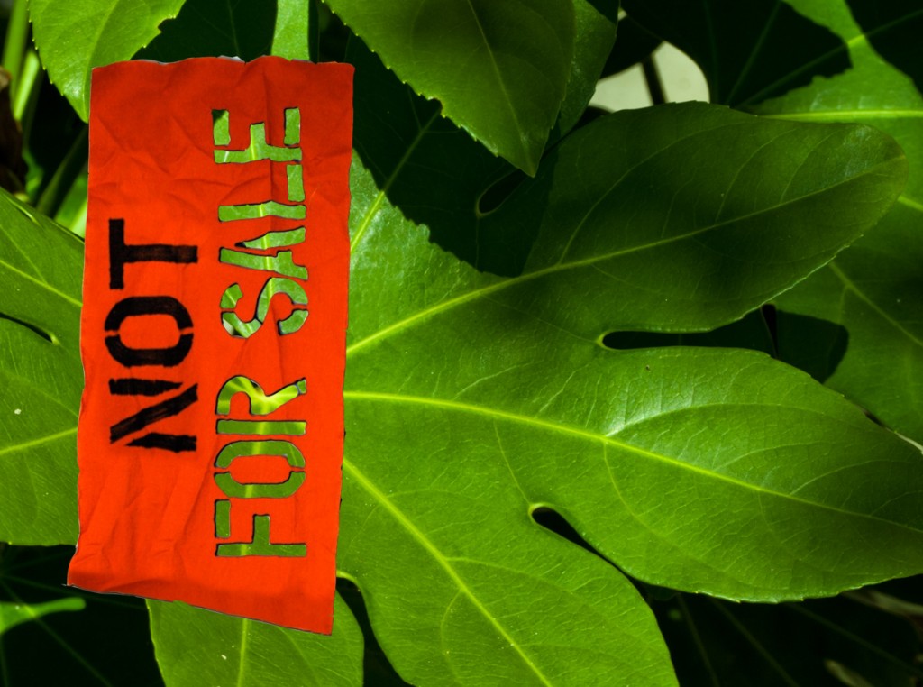 Not For Sale: The Air We Breathe 