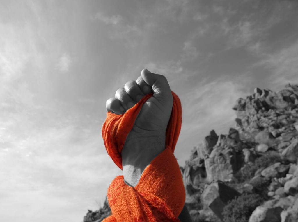 Freedom Rise